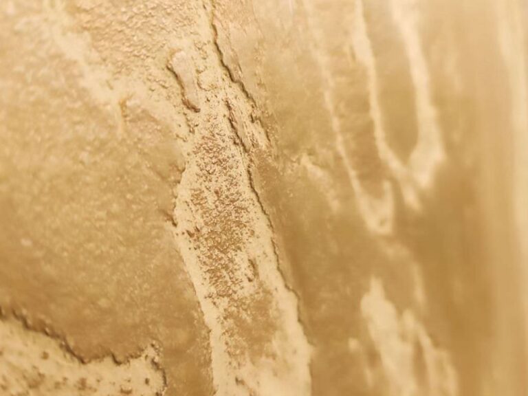 silicone rendering (16)